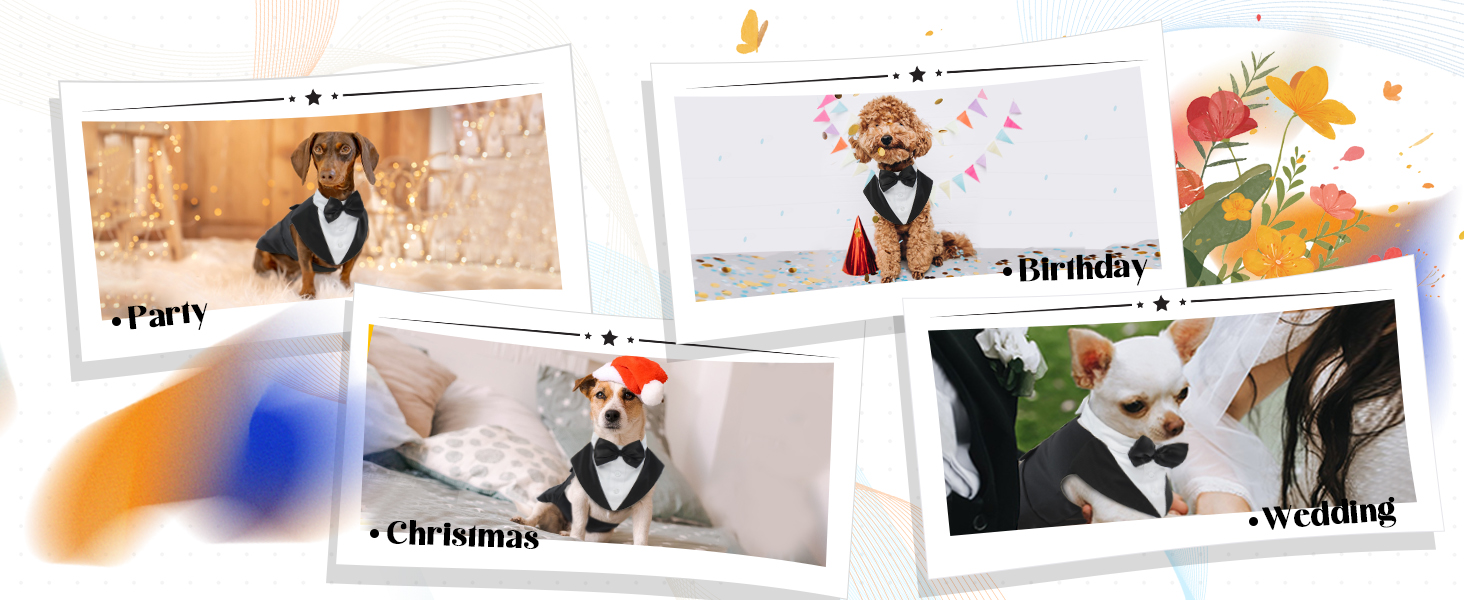 Костюм для собак - святковий набір: смокінг та різдвяний костюм (чорний, XL)