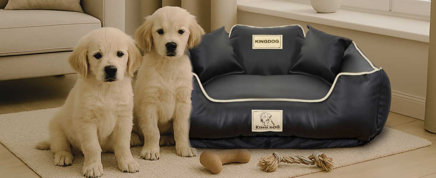 Крісло-ліжко для собак середніх порід King Dog: миється, з еко-шкіри, 75x65 см, з можливістю персоналізації імені, водонепроникне, з силіконовою начинкою, чорне