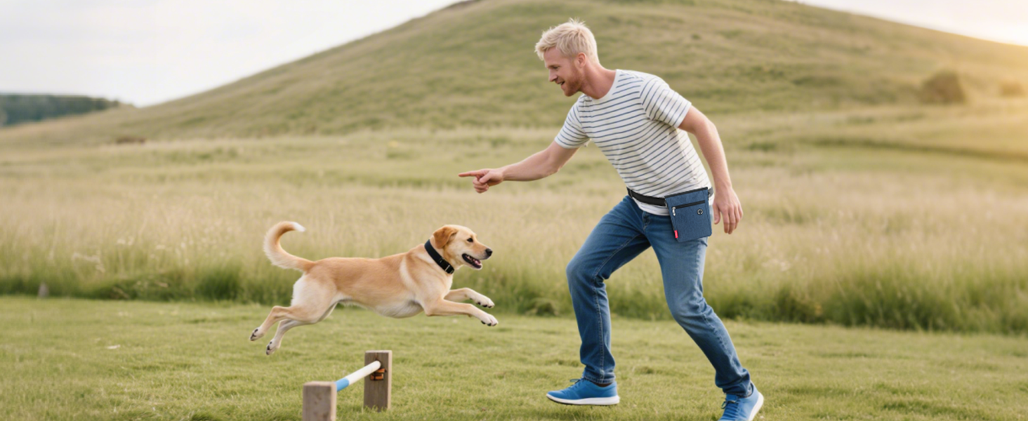 Футляр для ласощів для собак з магнітною застібкою, сумка для тренування собак з знімною внутрішньою кишенею, багатофункціональна сумка для ласощів для собак зі спонсором для фекалій, сірий (блакитний)