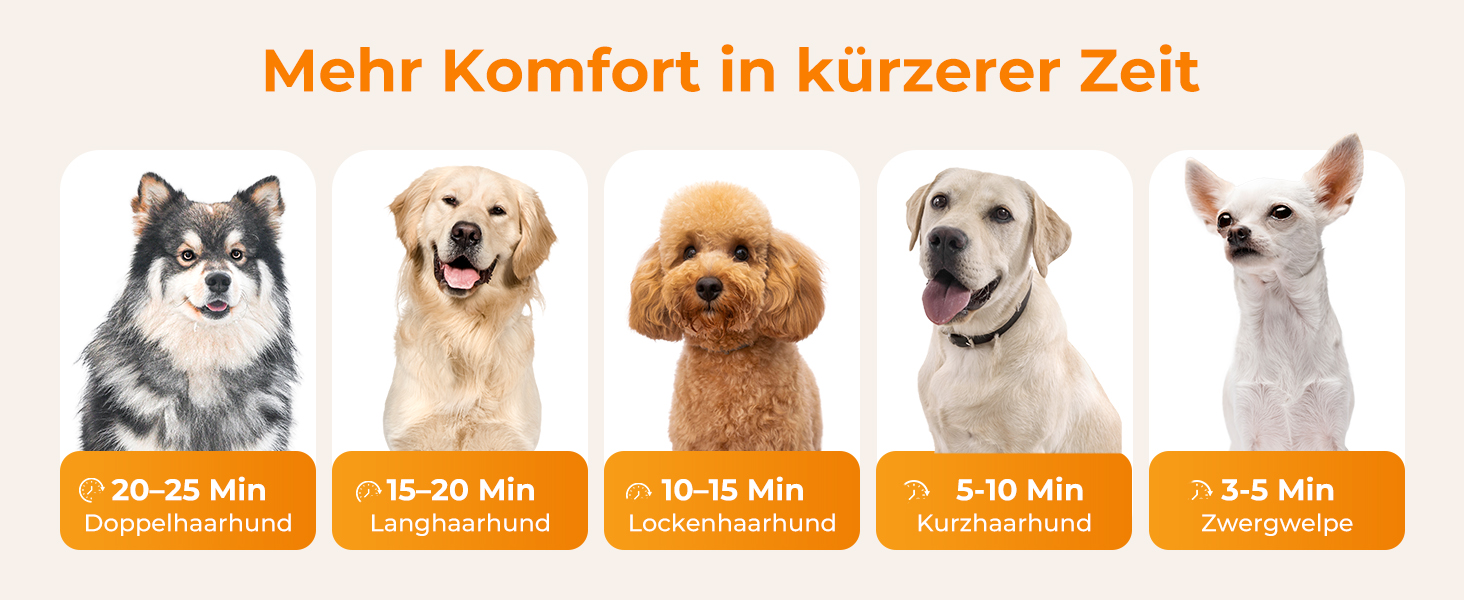 Фен для собак Pecute: потужний сушар для грумінгу з регулюванням температури та швидкості, комплект для догляду за тваринами