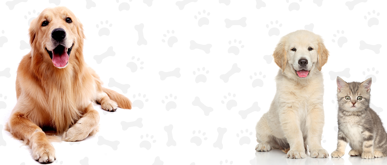 М'яка ковдра для собак та котів, флісова, велика (XL: 100 x 120 см), сіра