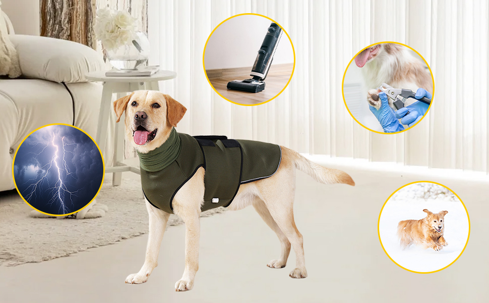 Заспокійливий одяг для собак Yanmucy 2 в 1: куртка для зменшення тривоги з капюшоном та захистом вух. Ідеально для собак, які бояться феєрверків та грози (зелений, M)