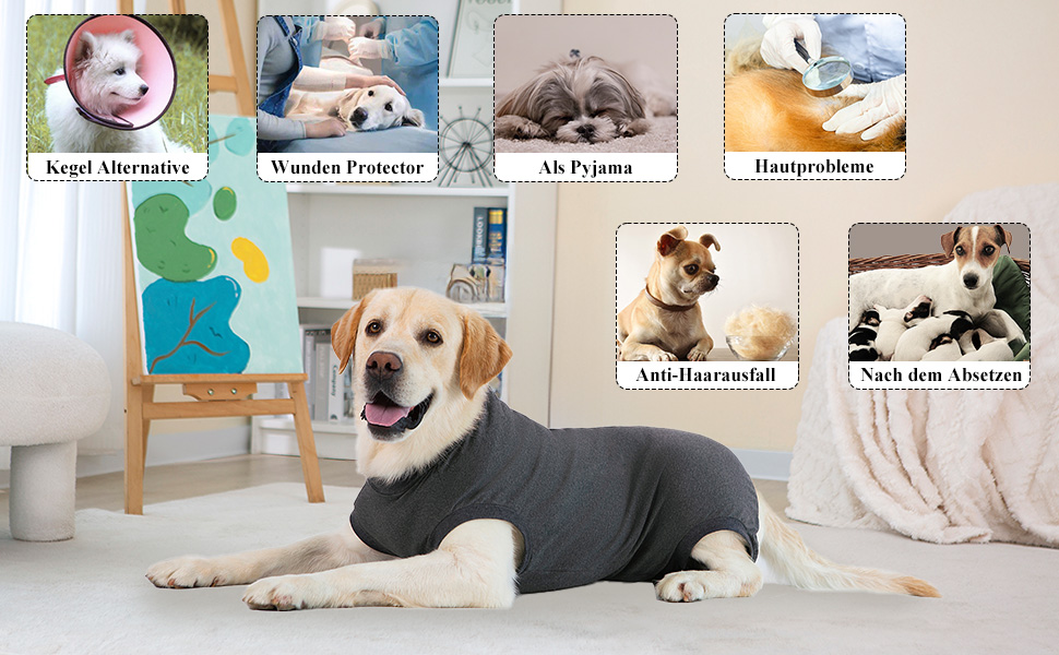 Післяопераційний боді для собак Cyponpy: захист від лизання та ран (L, сірий)