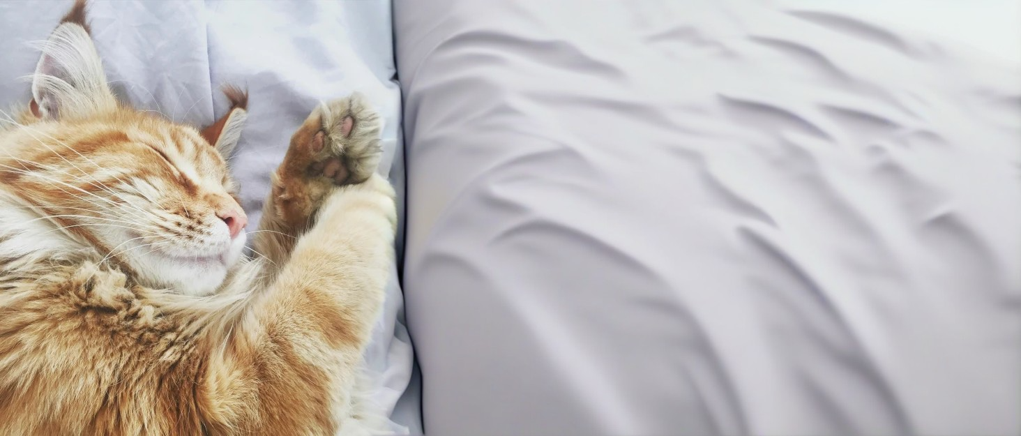 М'яке ліжко для котів Donwei, ліжко-подушка для собак, круглі ліжечка для котів, рожеве (60 см)