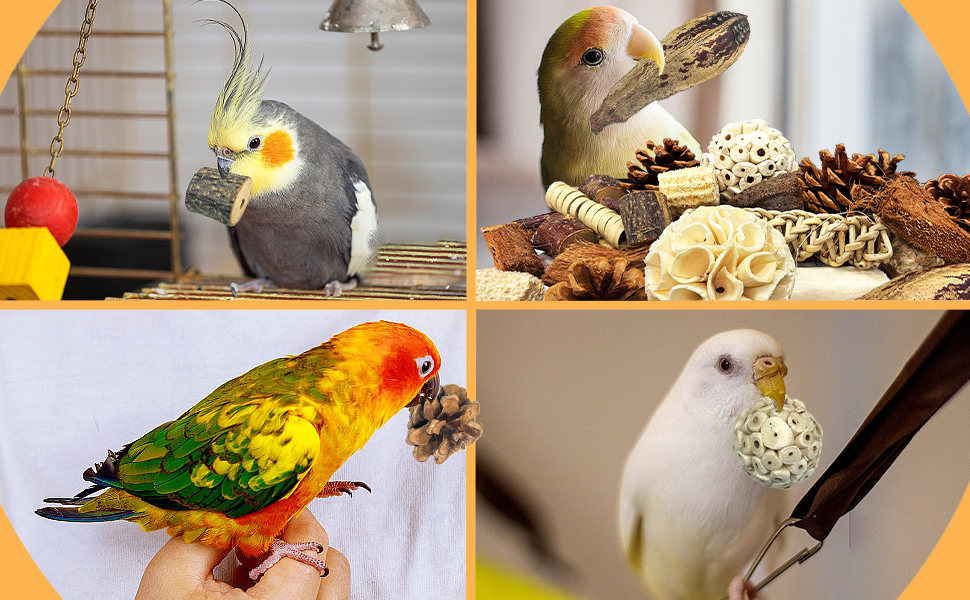 Іграшка для птахів Felicity, іграшка для папуг, іграшка для гризучих птахів, жувальна іграшка для птахів, аксесуари для клітки, аксесуари для хвилястих папужок, підходить для корел, хвилястих папужок та інших птахів