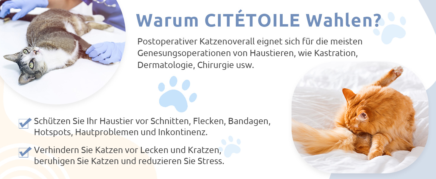 Одяг для котів після операції Citétoile: Комбінезон для захисту рани, альтернатива електронного комірця, рожевий, розмір M