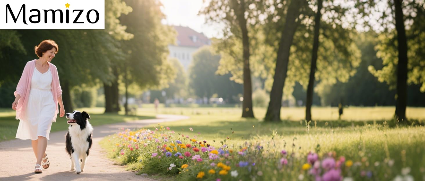 MAMIZO Подвійний візок для собак, переноска для тварин до 15 кг, складаний двоярусний візок для собак, котячий візок на 2 яруси з 4 зносостійкими колесами PU, чорний