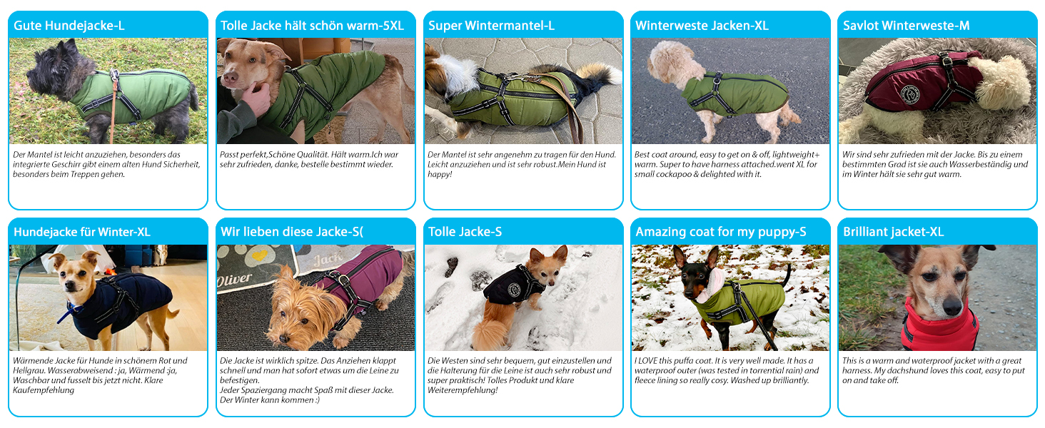 Зимова жилетка для собак, тепла жилетка для тварин, безрукавка для собак, жилетка для собак XL, зелена