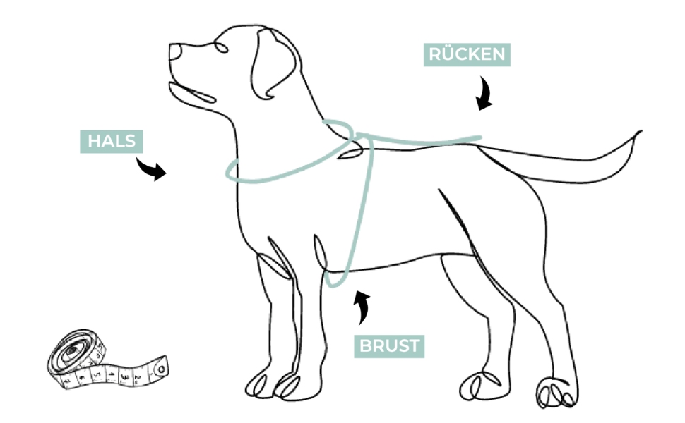 IMMI Куртка для собак | Тепла куртка для собак різних розмірів (Сірий, L)