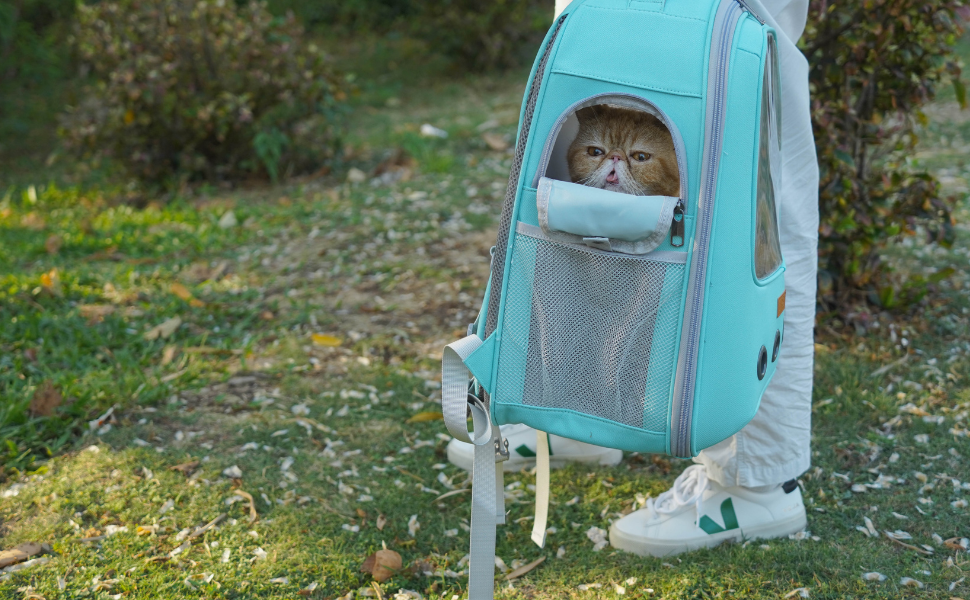 Рюкзак для кота та маленького собаки Lollimeow - зелений, для подорожей літаком, ідеальний для кошенят та цуценят