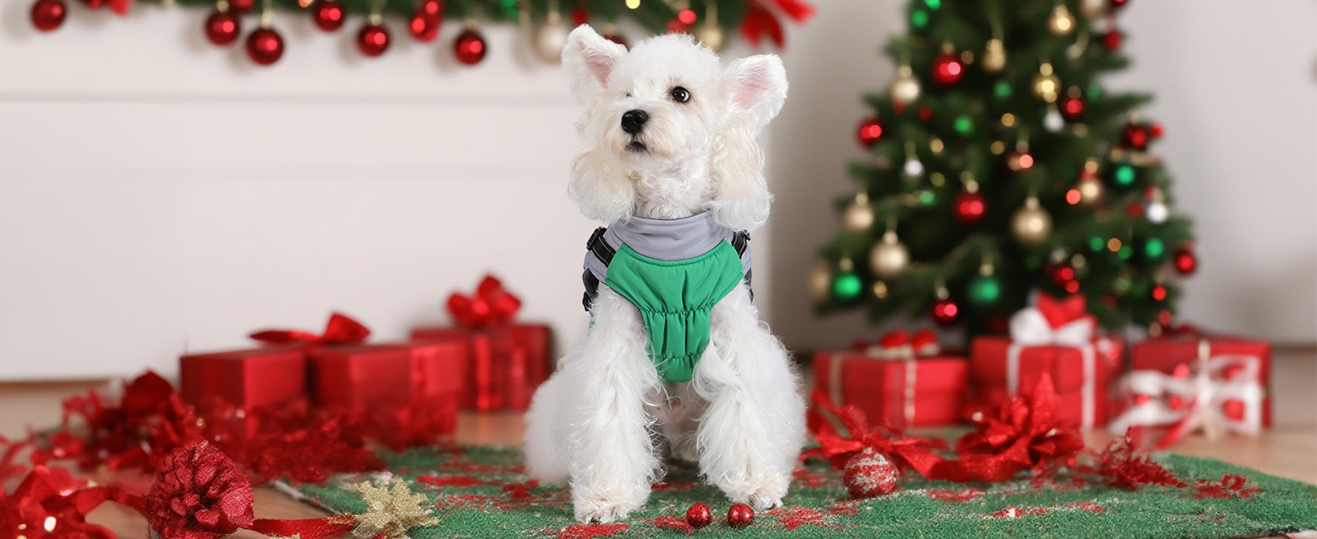 Водонепроникний зимовий одяг для собак Savlot: тепла куртка та вітрозахисний костюм для маленьких та середніх собак з шлейкою. Відображаючий дизайн (L, жовтий + сірий)