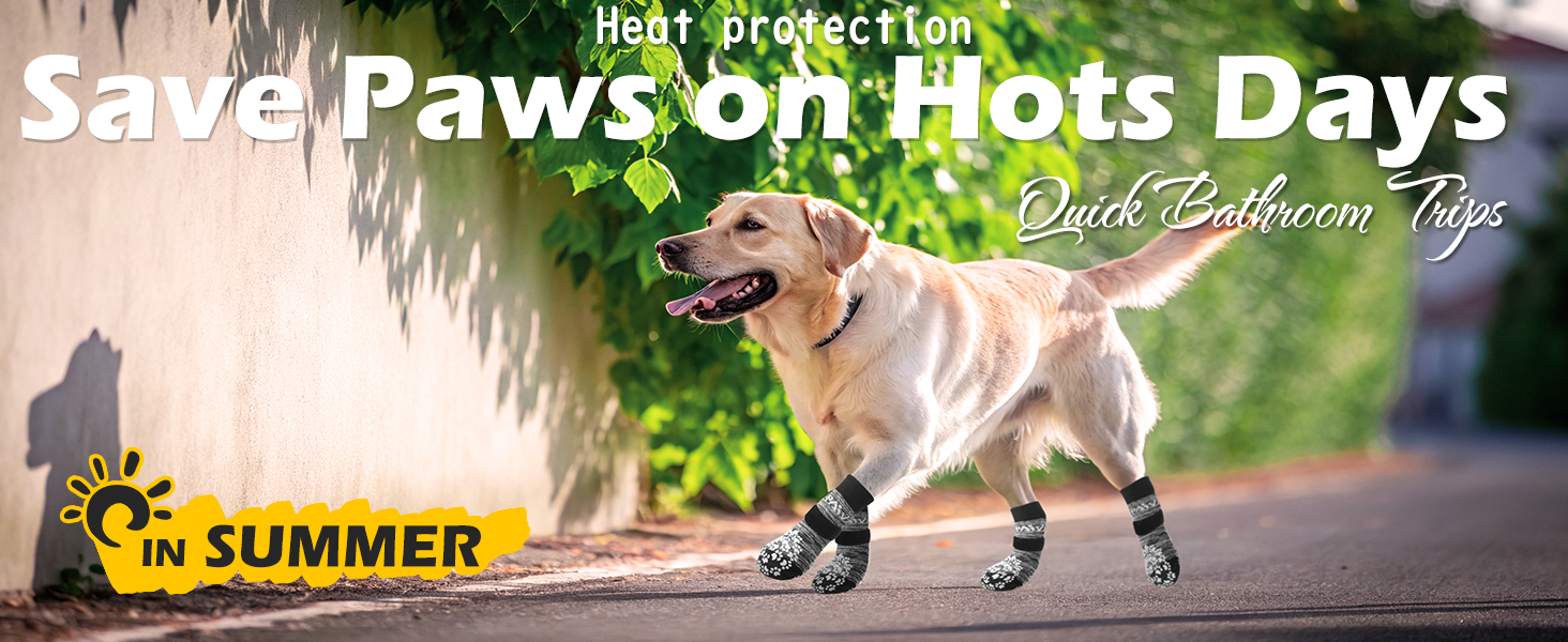 Шкарпетки для собак EXPAWLORER: антиковзаючі, захист лап, для гарячих доріг, контроль зчеплення, 6 шт. (X-small, Росаграу)