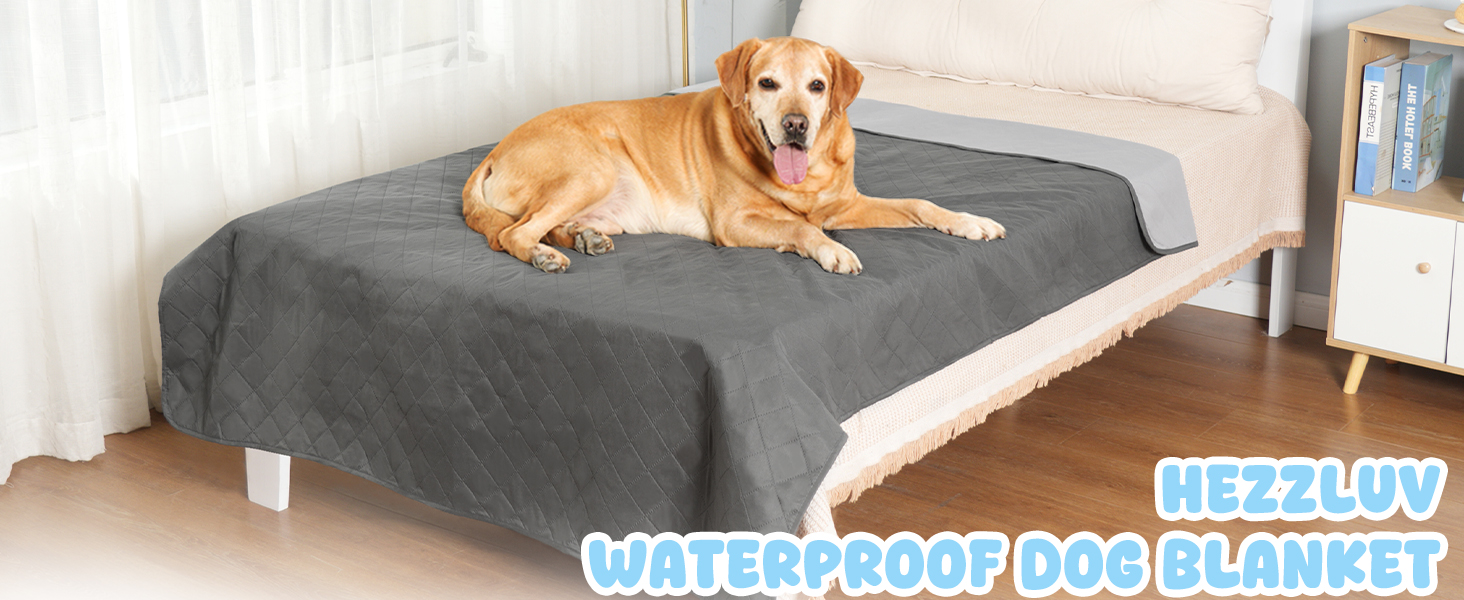 Водонепроникний килимок для собак на диван, ліжко та авто - котячий килимок, захист дивану/ліжка, двосторонній, стійкий до подряпин, можна прати, ідеально підходить для великих/маленьких собак, 203x152 см, сірий