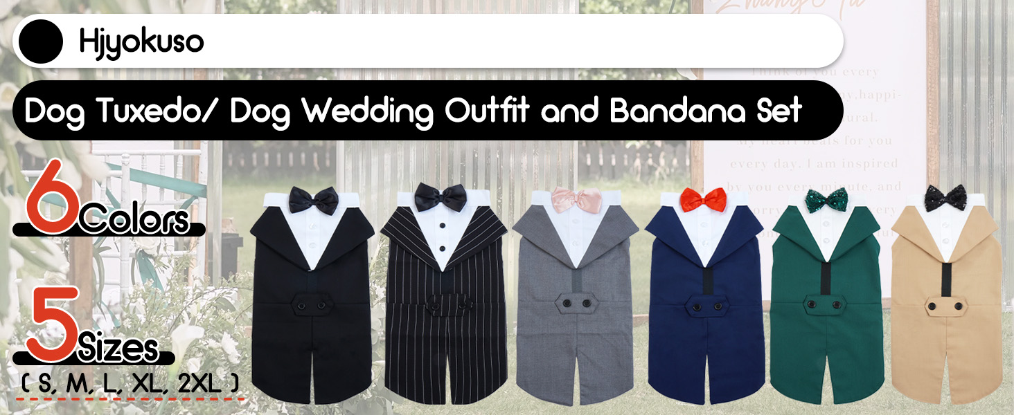 Костюм для собак