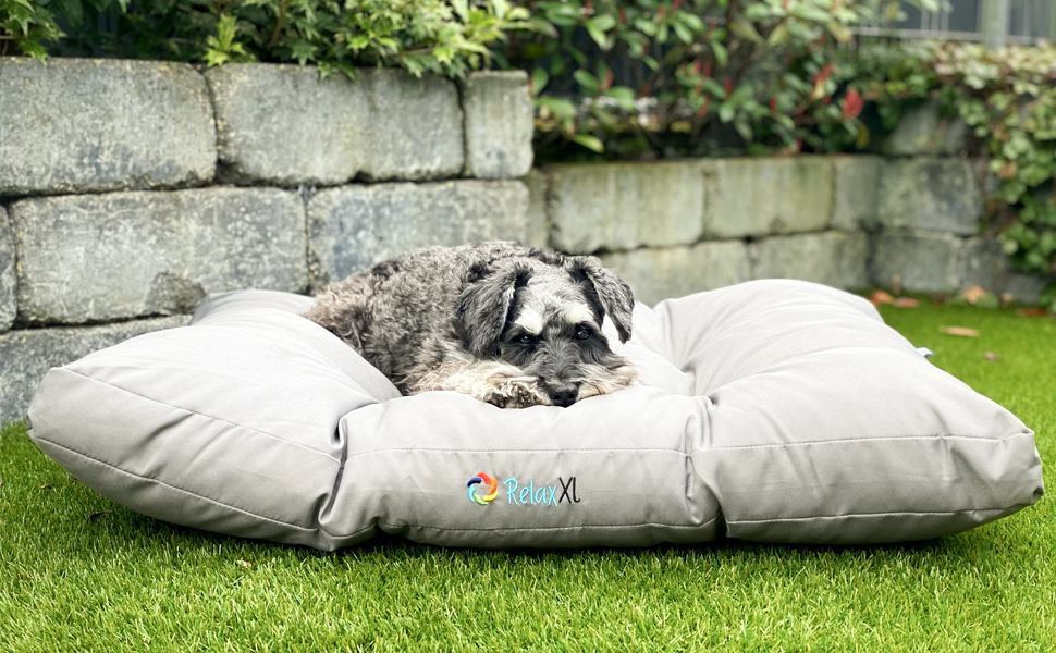 Легке собаче ліжко MAILO M, тауп, 75x50 см, зручна наповнювач з волокон, пральне, стабільне MAILO Тауп