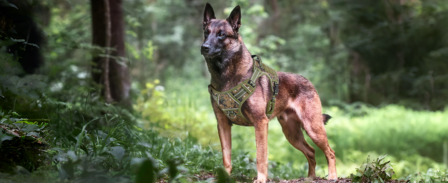 Тактичне обіднє нашийник для собак HEELE, MOLLE, камуфляжний, зелений, для службових собак