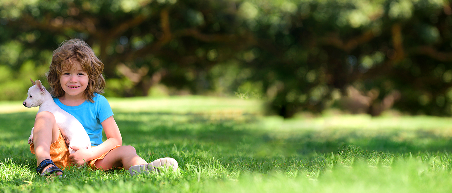 Дощовик для собак Zellar Hunderegenmantel з капюшоном, отвором для коміра та світловідбиваючими смугами, ультралегкий, дихаючий, 100% водонепроникний, синій, 6XL