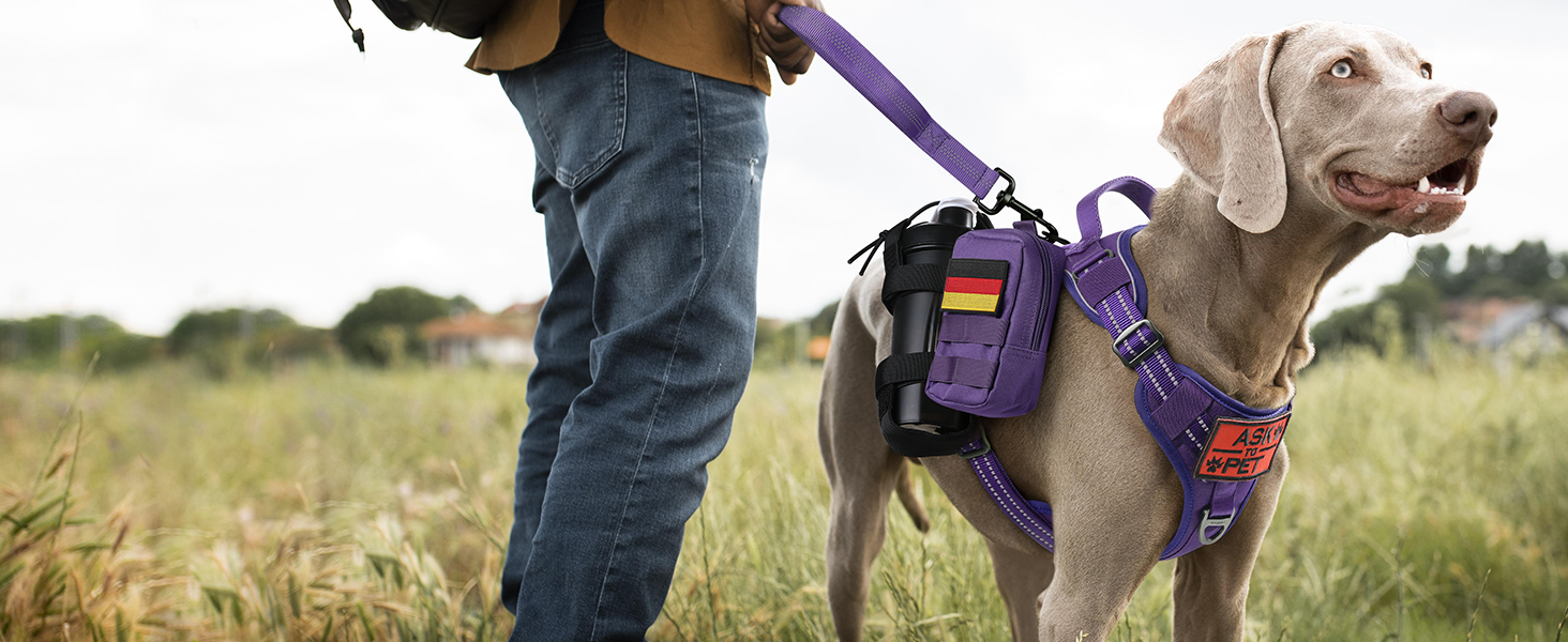 Нагрудник для собак Rabbitgoo середнього розміру, анти-тяга, регульований з ручкою, міцний, тактичний, з металевими пряжками для прогулянок (M, фіолетовий)