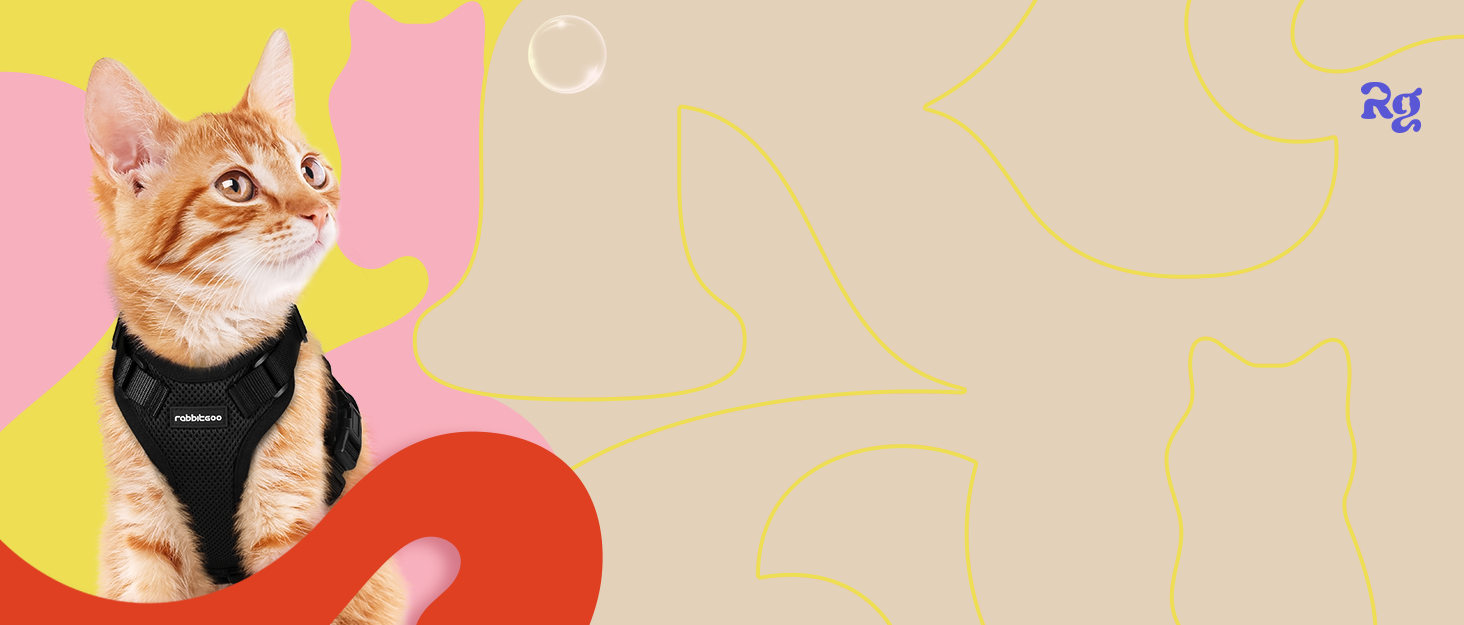 Шлейка для кота Rabbitgoo з повідком, чорна, м'яка, для котів, шлейка-жилет, безпечна, регульована, чорна, M (1 шт.)