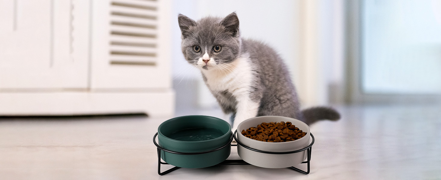 PETTOM Миска для котів піднята, миска для корму для котів, станція для корму, керамічна миска для їжі та води для котів та маленьких собак (Білий + Сірий) Білий+Сірий