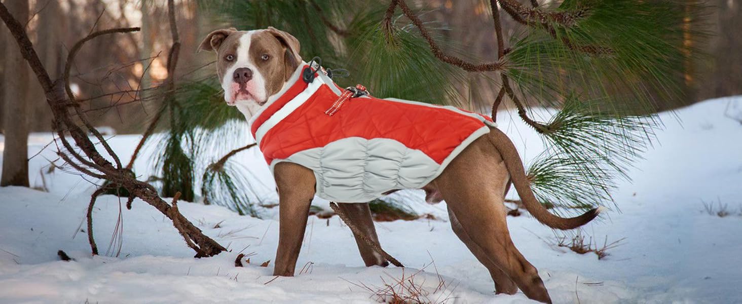 Водонепроникний зимовий теплий одяг для собак: куртка, жилет, пуховик, светр з кільцями D (червоний, 2XL) XXL Червоний