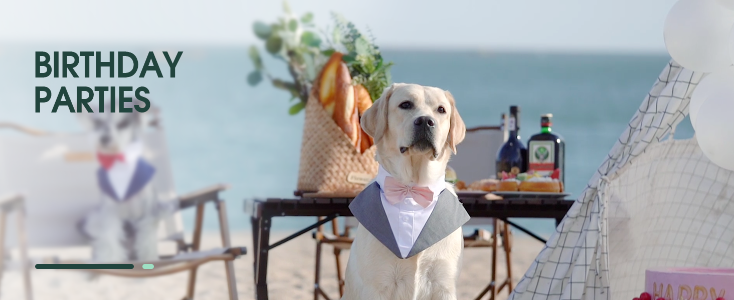 Костюм для собак Kuoser з банданою, теплий халат для собак з кріпленням для краватки, костюм для цуценят для собак, сорочка для вечірки на День народження, Хелловін, весілля, S-XXL, довжина спини M: 35 см, чорний