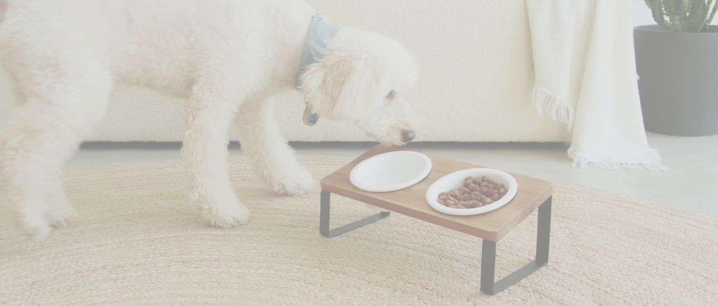 Підвищена годівниця для котів PETLINUS: керамічна та дерев'яна, для котів та маленьких собак (чорна)