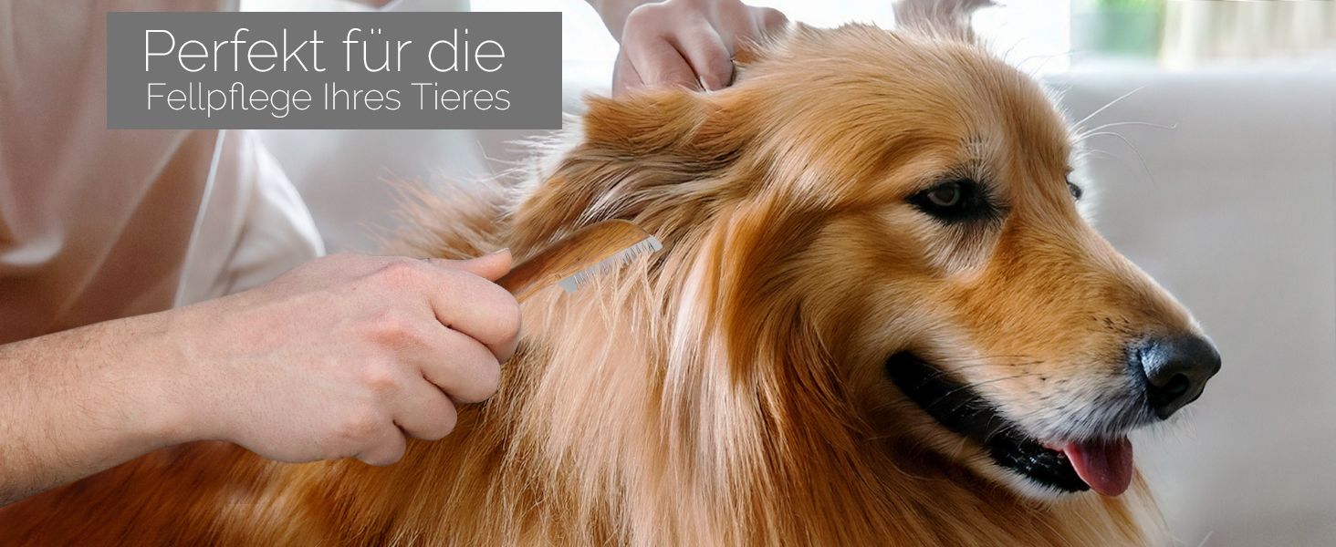 Набір для грумінгу собак та котів: триммер, гребінь, ножиці, ніж. З супер-дрібною та супер-грубою зубчастими насадками. З нержавіючої сталі.