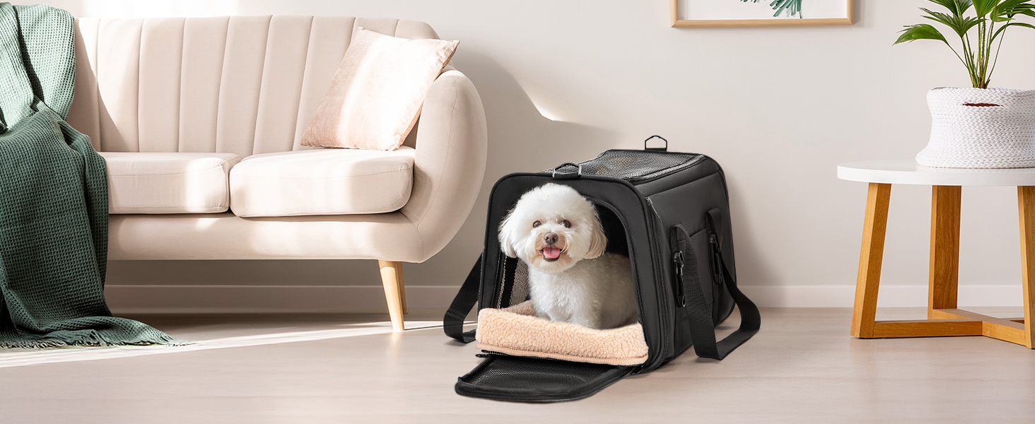 Переносна переноска для котів та маленьких собак Petsfit, блакитна, 48 x 30.5 x 30.5 см