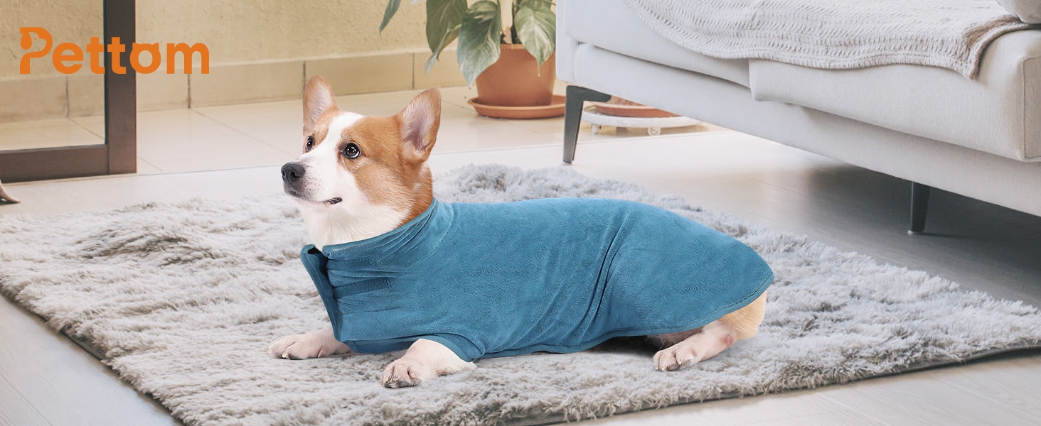 Рушник для собак PETTOM з мікрофібри, швидковисихаючий, бавовняний, супер вбираючий (L, блакитний)