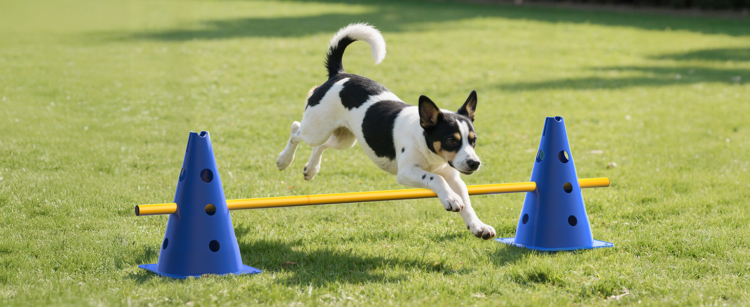 Набір фігур для аджиліті для собак, 12 кілків, 18 стійок, футбольне тренувальне обладнання, сумка в комплекті