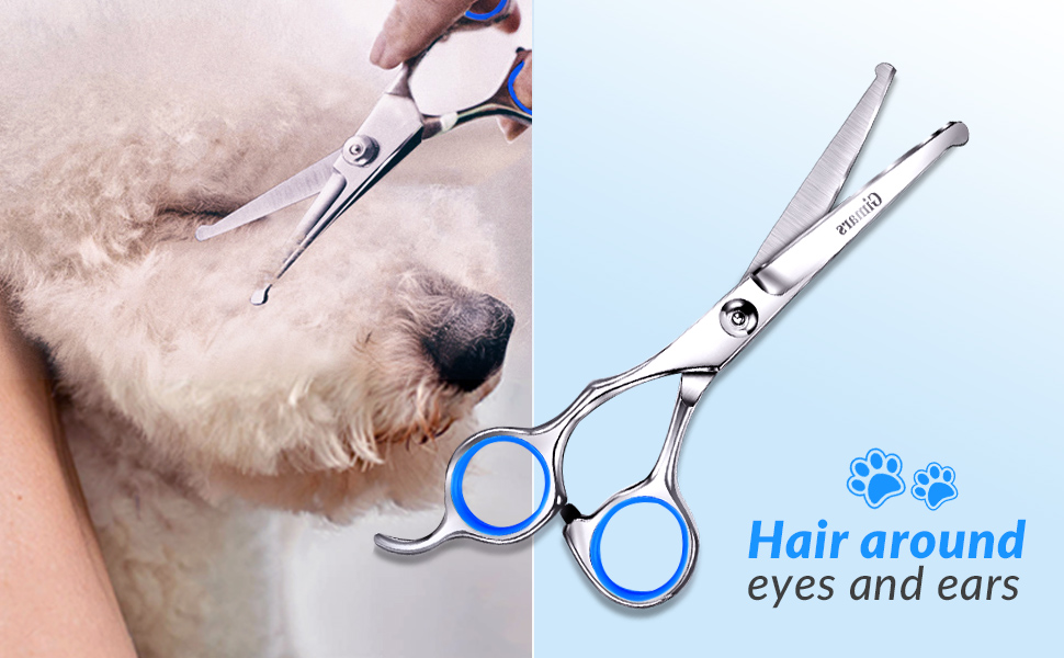 Набір професійних ножиць для грумінгу собак Gimars, 4CR, з безпечними закругленими кінцями, титанове покриття, 6-в-1 (чорний/блакитний)