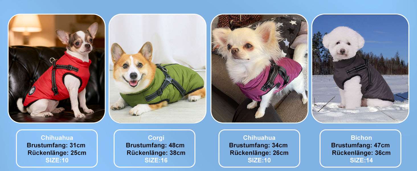 Водонепроникний теплий жилет для собак Французького бульдога, жилет для собак з кріпленням для шлейки, різні розміри, фіолетовий, розмір 10 (обхват грудей 31-36 см)