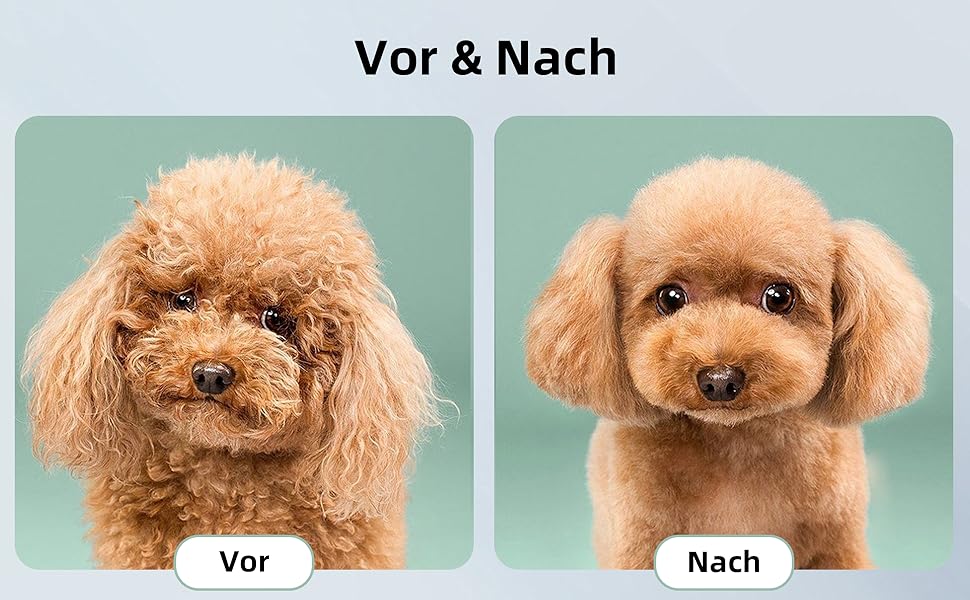 Професійна машинка для стрижки собак та котів KitSky Leise, бездротова, для довгошерстих порід