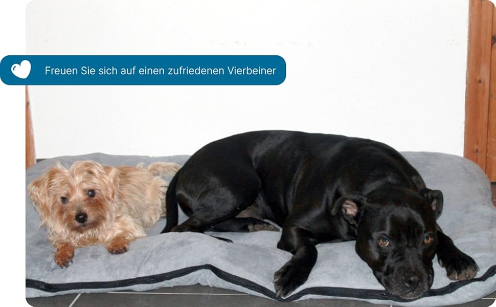 Килимок для собак SUNNYDOGS XXL | М'який, миючий, знімний | Килимок для великих собак, 120 x 80 см, сірий