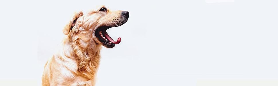 Комбінезон для собак Yeapeeto, 6XL, сірий: для відпочинку, захисту від алергії, випадання шерсті, запобігання лизання ран, альтернатива конусу