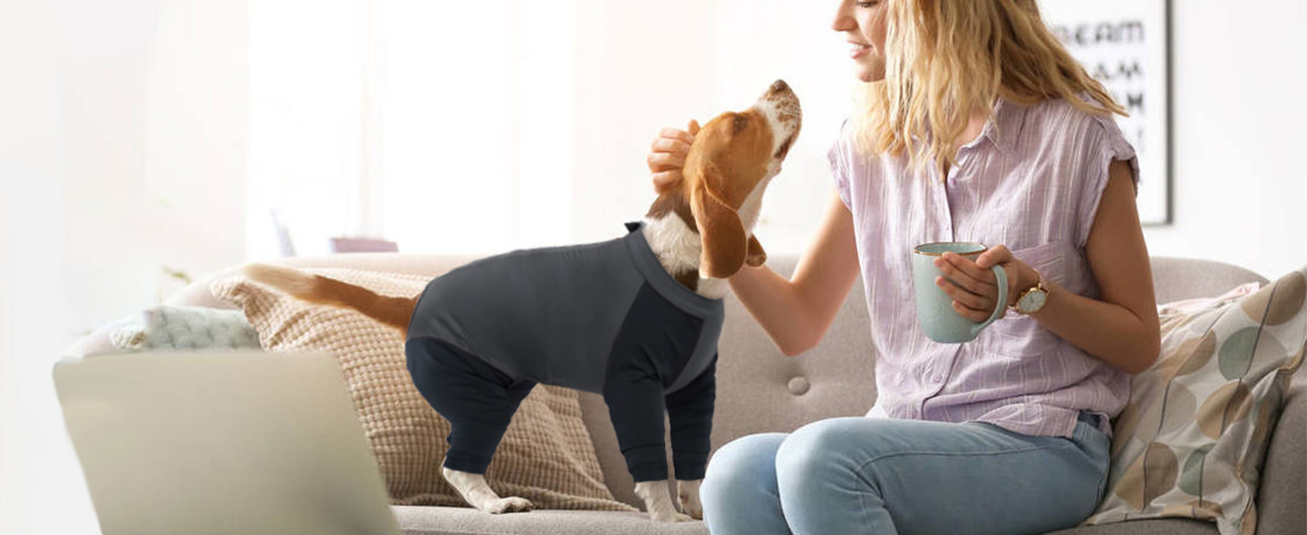 Комбінезон для собак, піжама для собак середніх порід, одяг після операції для Французького бульдога, Кокер-спанієля, Бігля (M, Сірий)