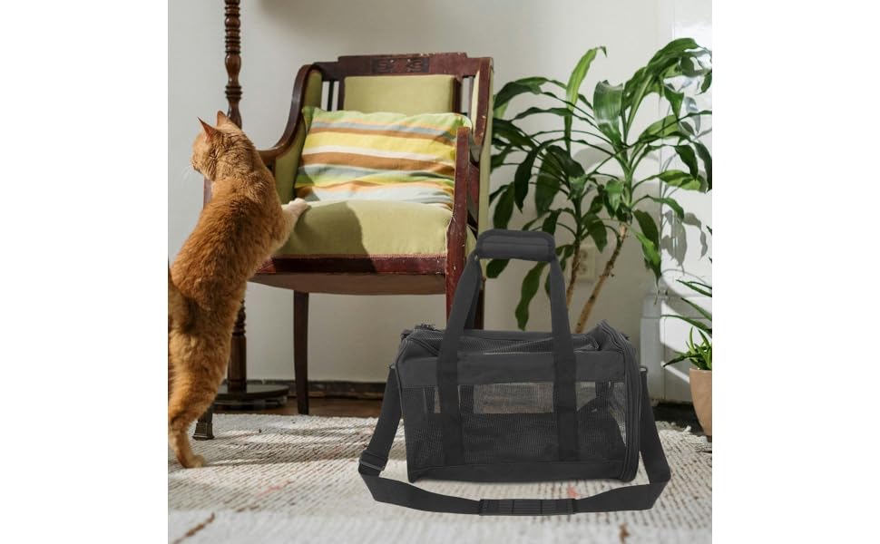 Переноска для котів та маленьких собак ERINGOGO - легка та міцна сумка-рюкзак для подорожей