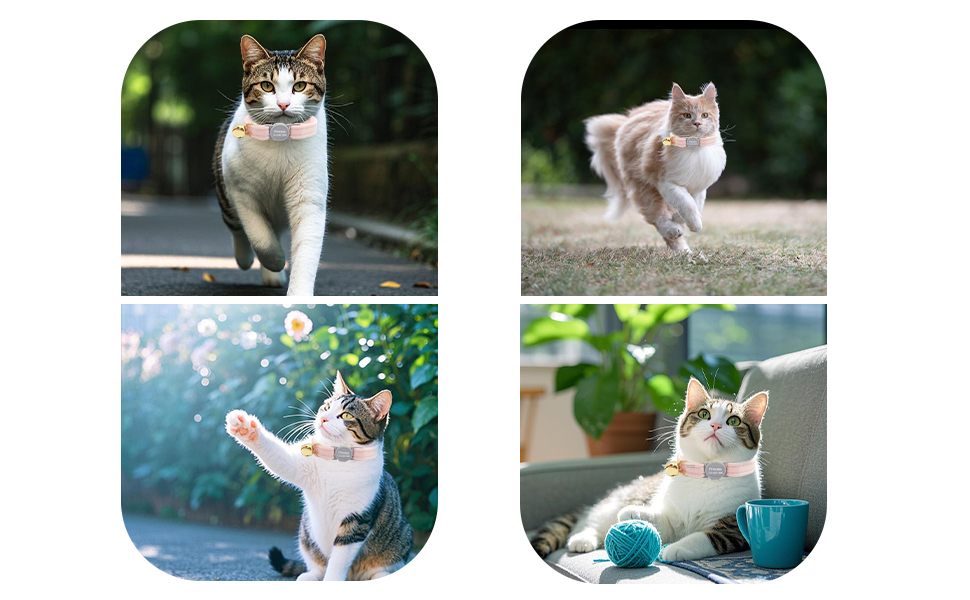 Персоналізоване ошатне нашийник для кота з безпечною застібкою та дзвіночком, нашийник з іменним жетоном та номером телефону, регульований, з велюру, для кошенят