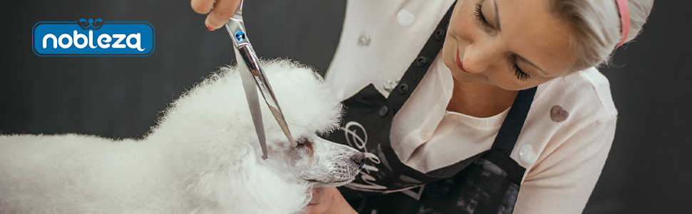Набір професійних ножиць для собак Nobleza Hundeschere Set Profi: 4 в 1 (з круглим ножем, безпечною на кінчику, для собак, котів, тварин)