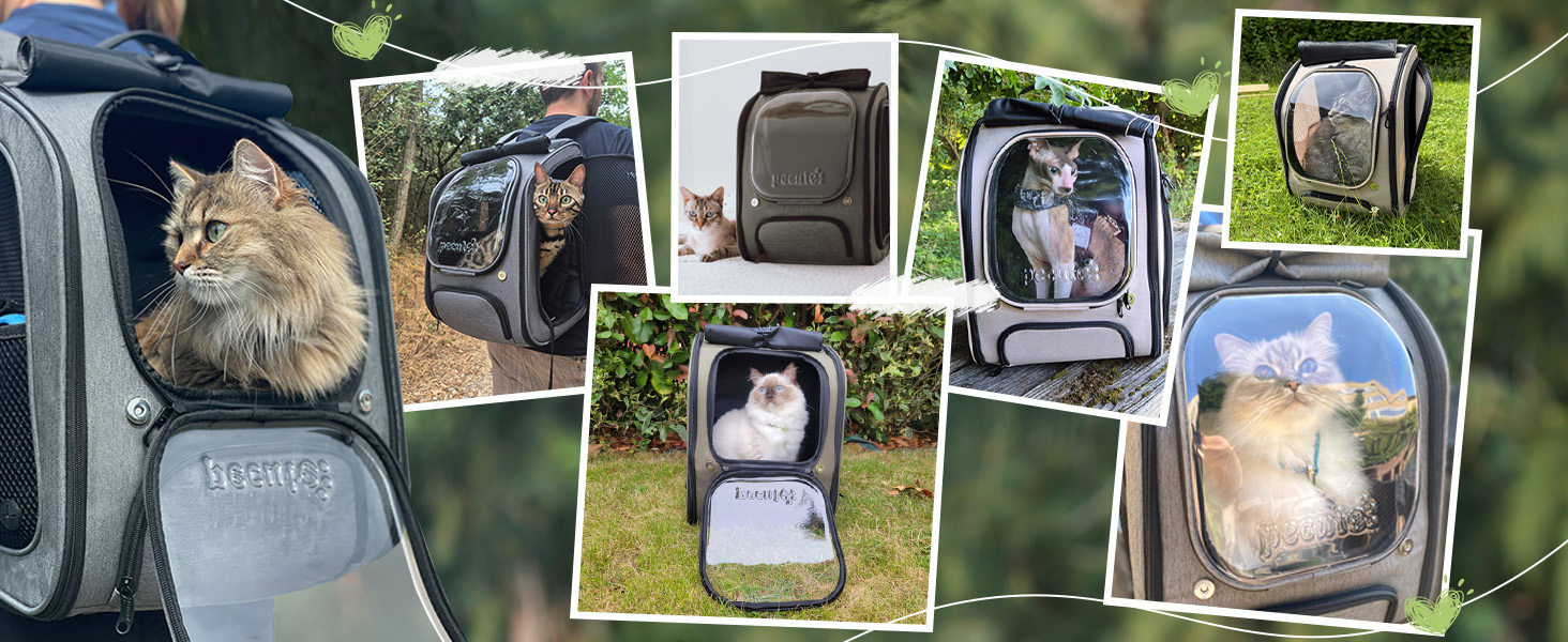 Рюкзак для кота Pecute з сіткою, дихаючий рюкзак-переноска для собак і котів, сірий (42*32*26 см)