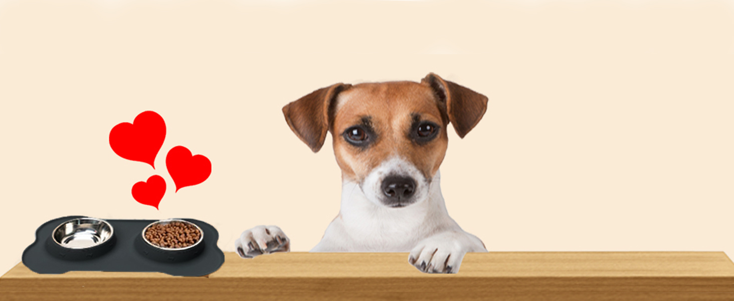 Набори мисок для собак CEASELESLY з нержавіючої сталі (2 x 400 мл) з підставкою з силікону, чорного кольору. Підходять для собак середніх та малих порід, кошенят та цуценят.