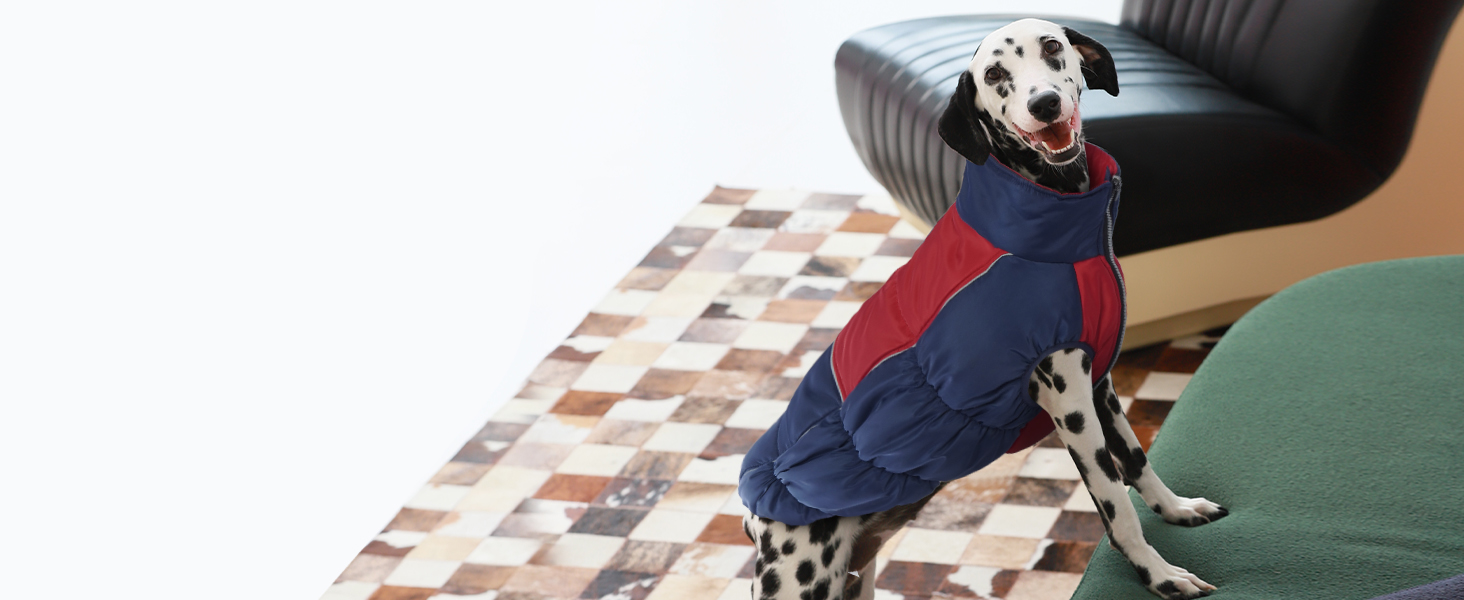 Зимові куртки та зимові пальта для собак IECOii, тепла зимова куртка для собак, пальта для собак, зимові пальта для собак, куртка-жилет для собак, теплий зимовий одяг для собак, водонепроникні куртки для собак, зелений колір, розмір M (обхват грудей: 53 см), армійсько-зелений