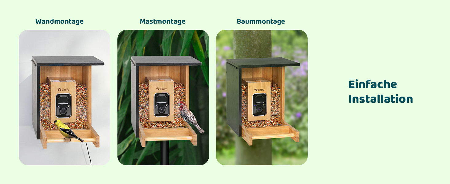 NETVUE Birdfy бамбуковий міні годівничка з камерою для спостереження за птахами, сонячна батарея, автоматичний запис, сповіщення в додатку