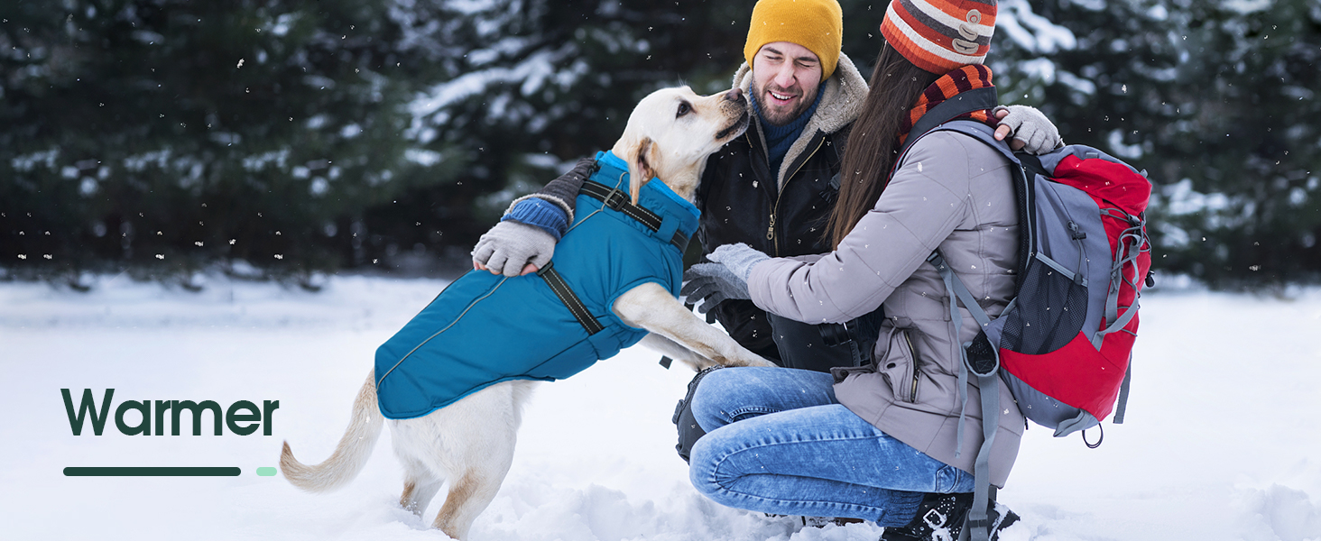 Водонепроникний теплий зимовий пуховик для собак середнього розміру Kuoser, чорний, M (Обхват грудей: 53 см, Обхват шиї: 38 см)