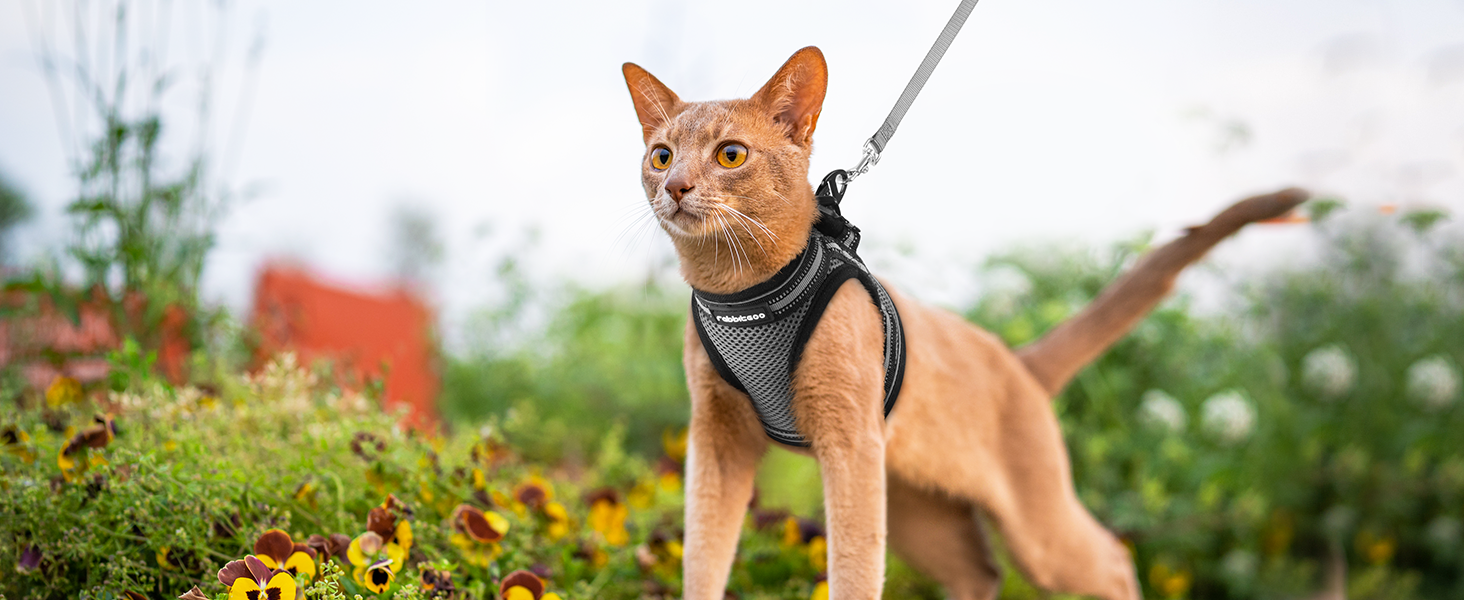 Нашийник та поводок для котів Rabbitgoo - безпечний, регульований, з відбиваючими смугами, сірий, M