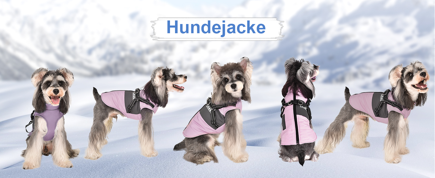 Теплий зимовий одяг для собак: куртка, жилет, плащ для маленьких та середніх порід, рожевий