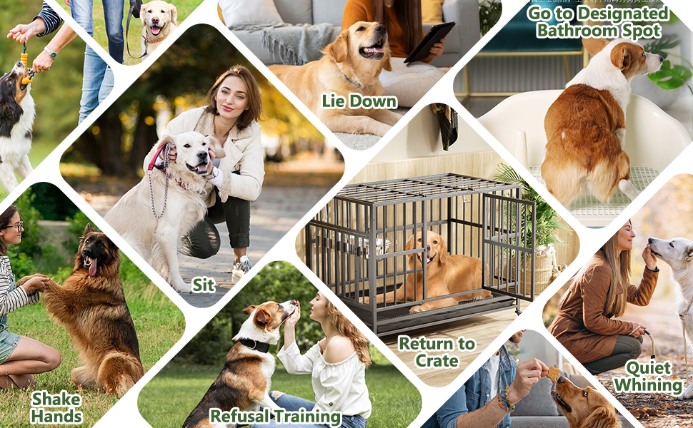 Преміум сумка для собачих ласощів для дресирування, велика місткість, сумка для прогулянки з тримачем для пакетів, регульований ремінь, сумка для цуценят, бананка для собак