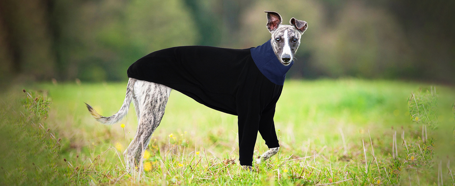 Пуловер для Віндхундів IECOii: теплий, з високим коміром, з флісу, чорний, XS