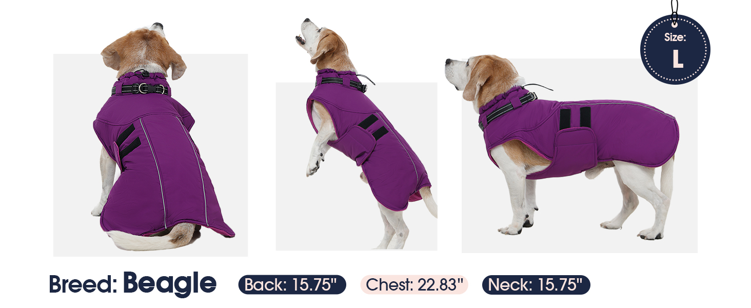 Зимова куртка для собак IECOii, тепла, водонепроникна, регульована, з відбиваючими елементами, фіолетова, XL